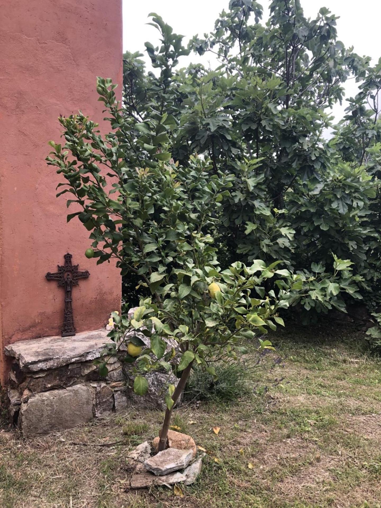 El Refugio Villa Reynès Eksteriør billede