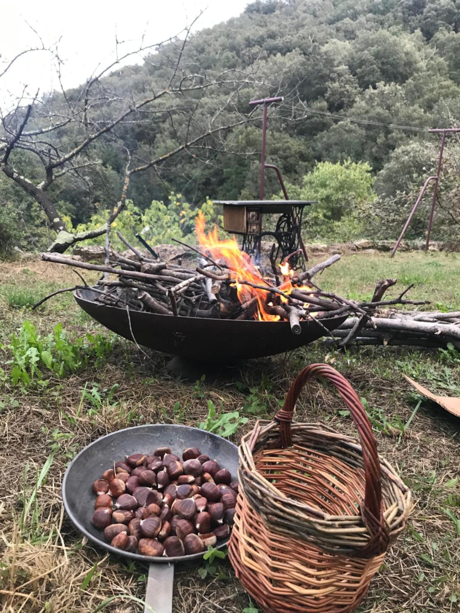 El Refugio Villa Reynès Eksteriør billede